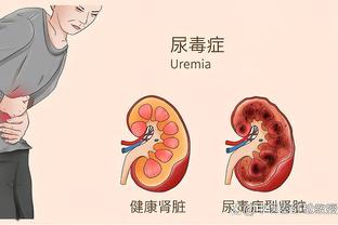 塔图姆生涯前500场常规赛胜率达到66% 现役球员第5